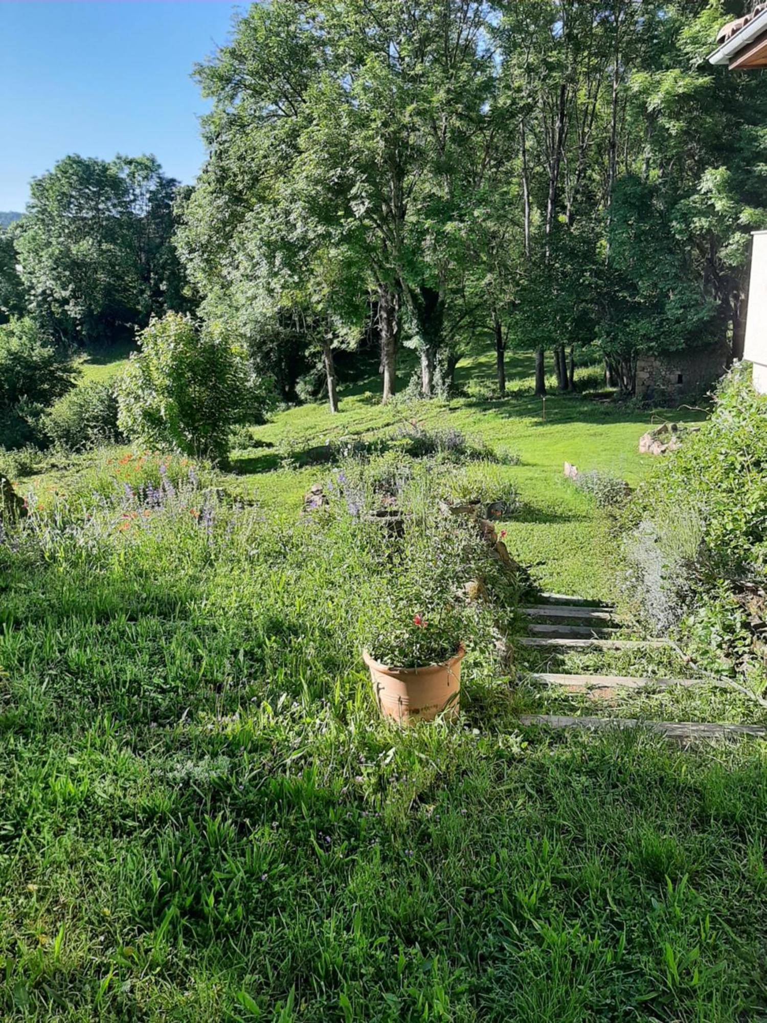 Chambre D'Hotes Charme Et Nature Vieille-Brioude Exteriér fotografie