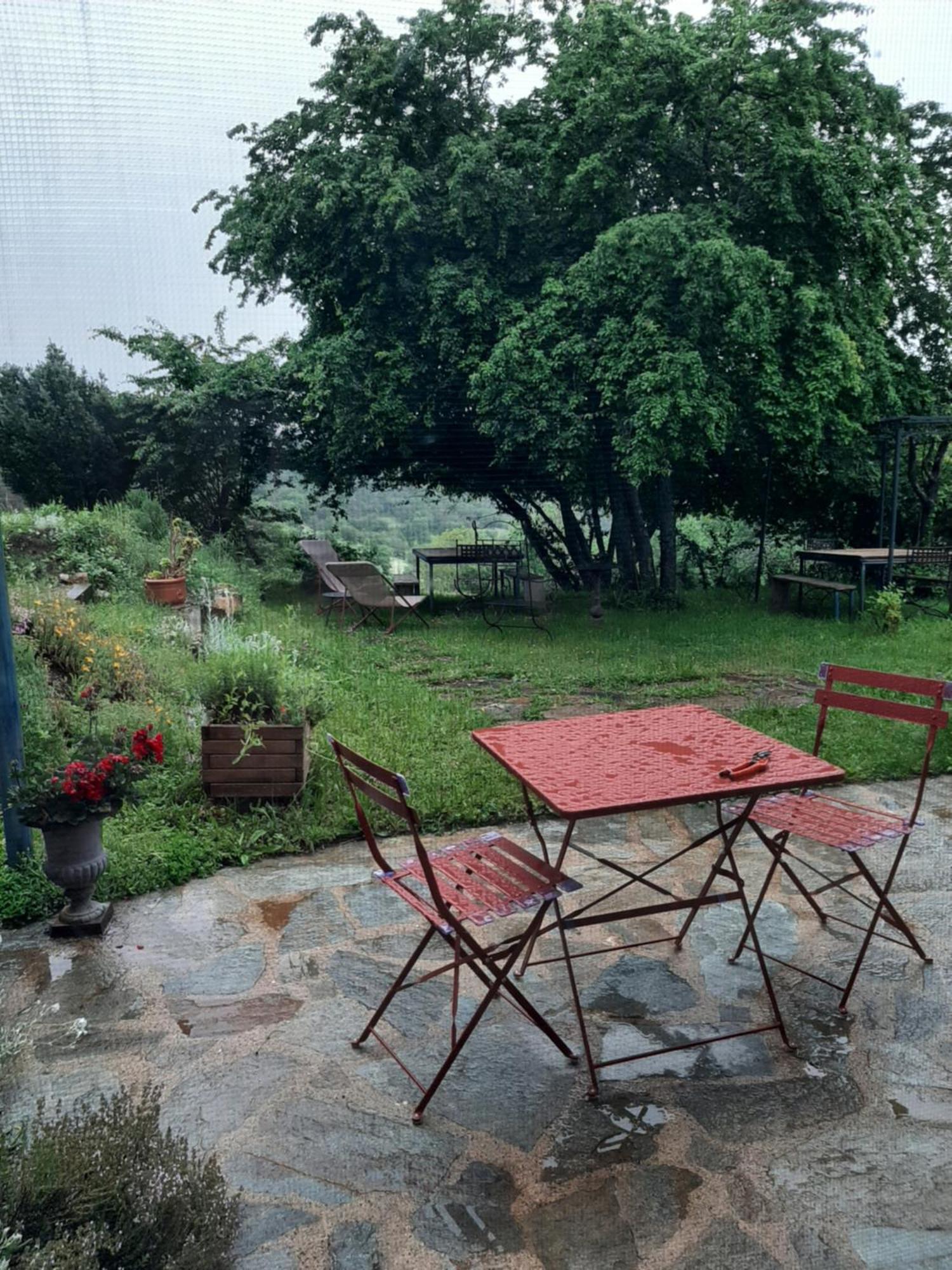 Chambre D'Hotes Charme Et Nature Vieille-Brioude Exteriér fotografie